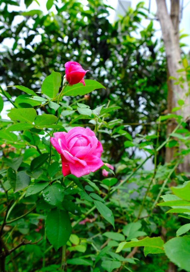Plei Homestay & Cafe Pleiku Zewnętrze zdjęcie