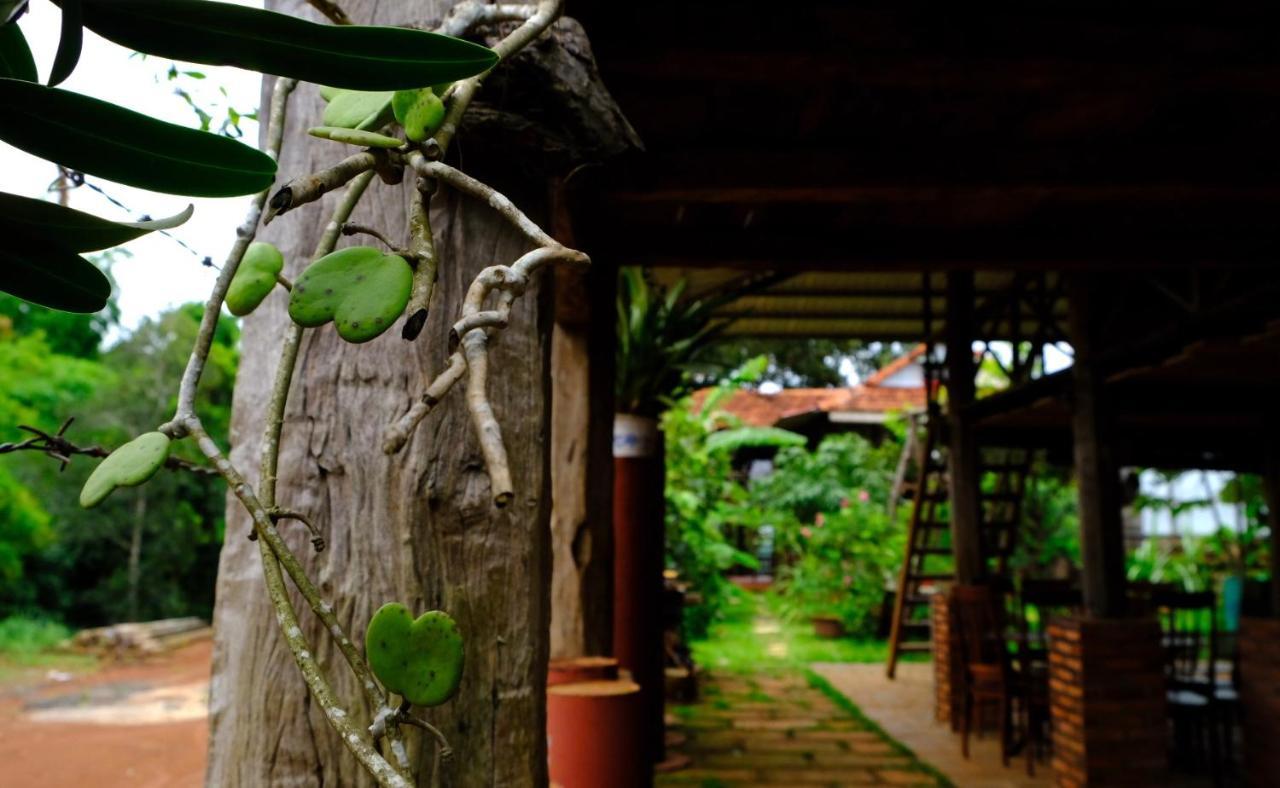 Plei Homestay & Cafe Pleiku Zewnętrze zdjęcie